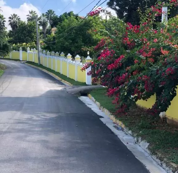 پانسیون Pura Vida Jamaica