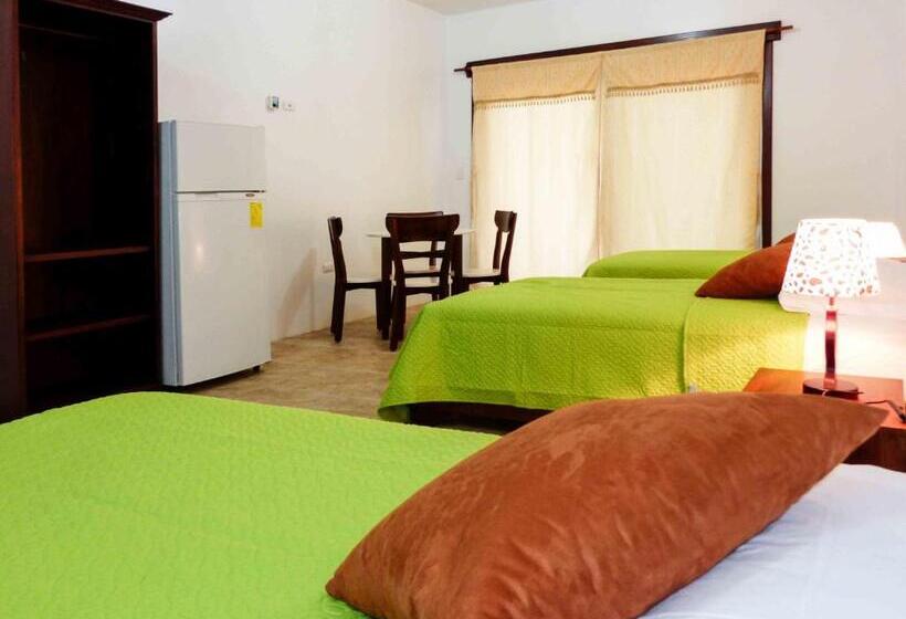 פנסיון Starfish