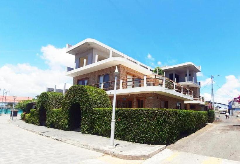 פנסיון Starfish