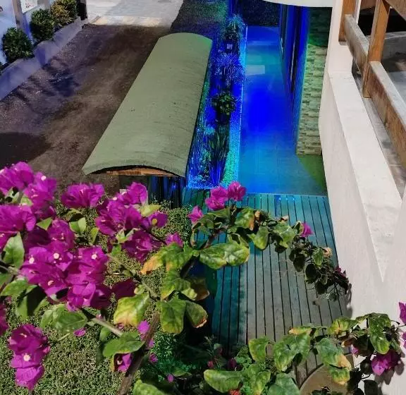 پانسیون Starfish