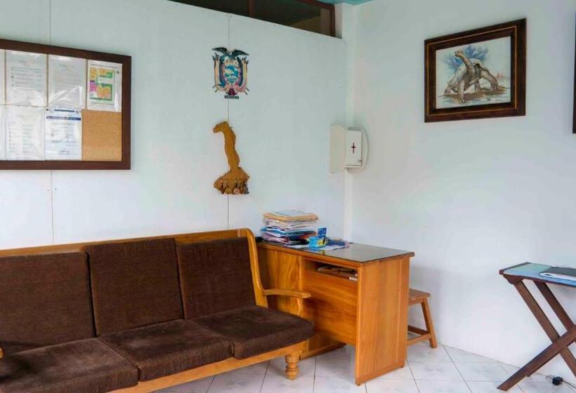 פנסיון Starfish