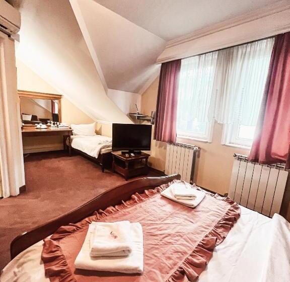 Pensiunea Curtea Bavareza