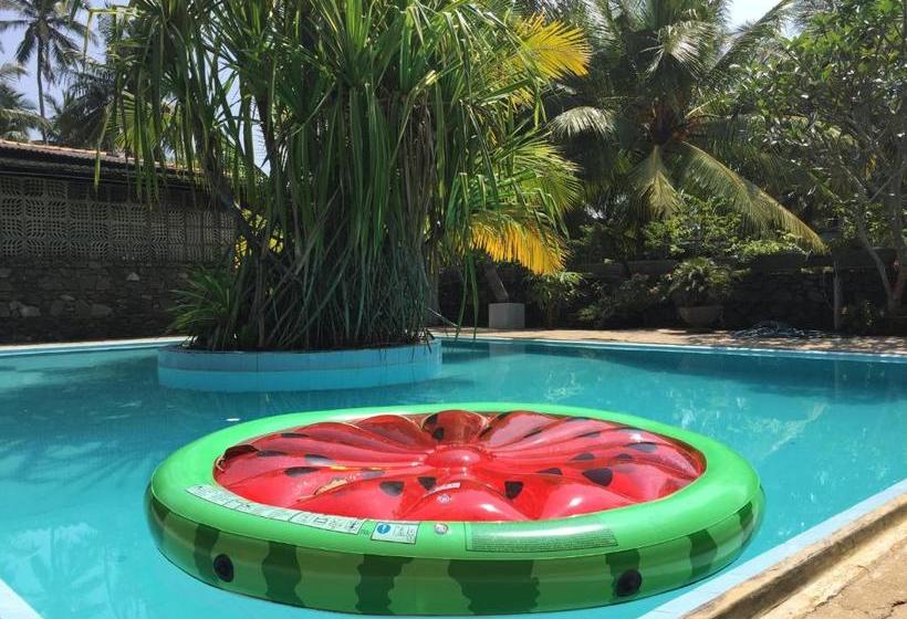 Pension (Hôtel basse catégorie) Aprima