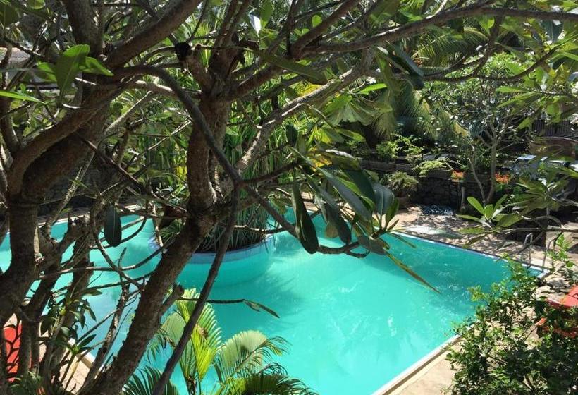 Pension (Hôtel basse catégorie) Aprima