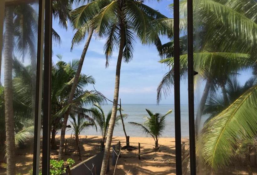 Pension (Hôtel basse catégorie) Aprima