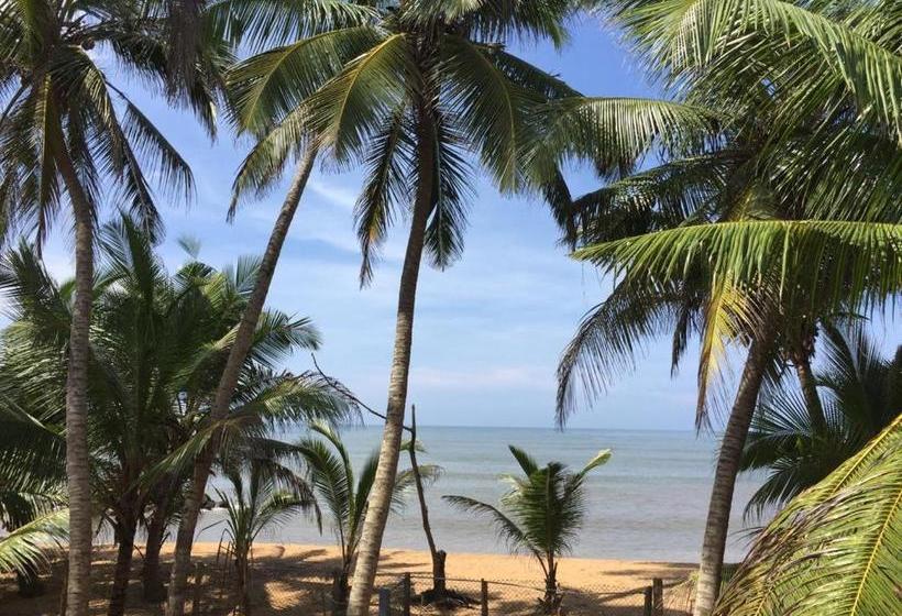 Pension (Hôtel basse catégorie) Aprima