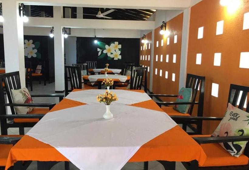 Pension (Hôtel basse catégorie) Aprima