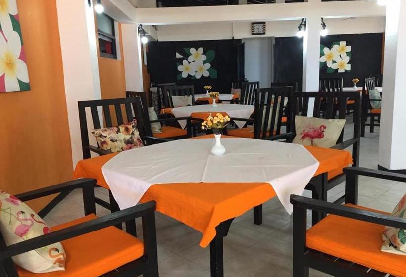 Pension (Hôtel basse catégorie) Aprima