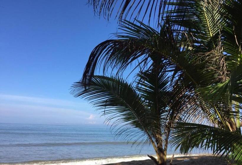 Pension (Hôtel basse catégorie) Aprima