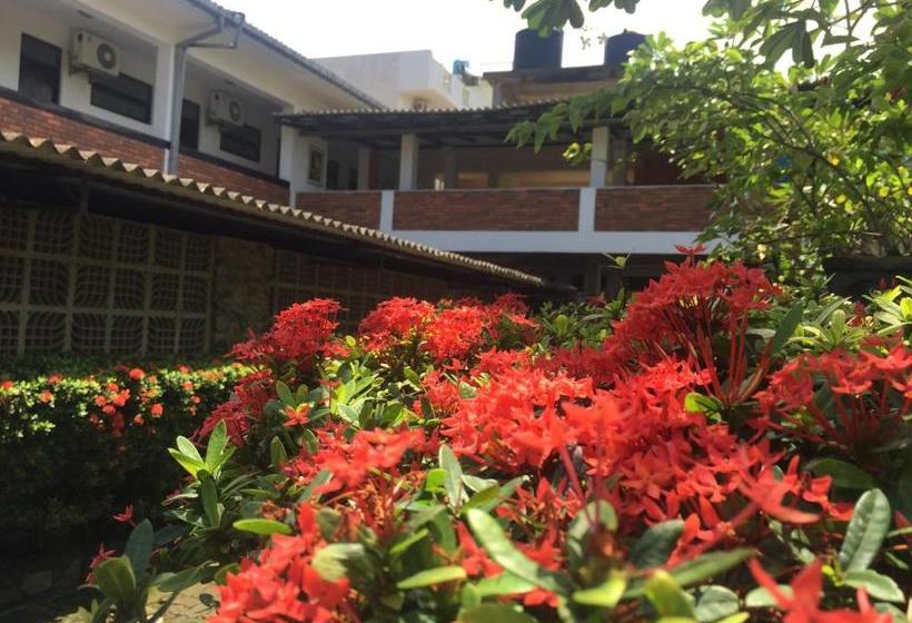 Pension (Hôtel basse catégorie) Aprima