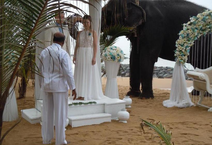 Pension (Hôtel basse catégorie) Aprima