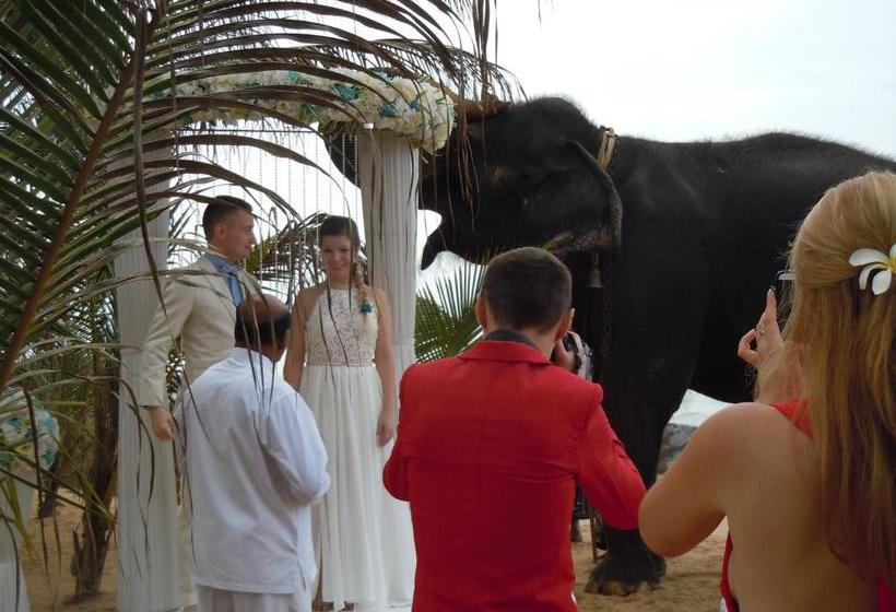 Pension (Hôtel basse catégorie) Aprima