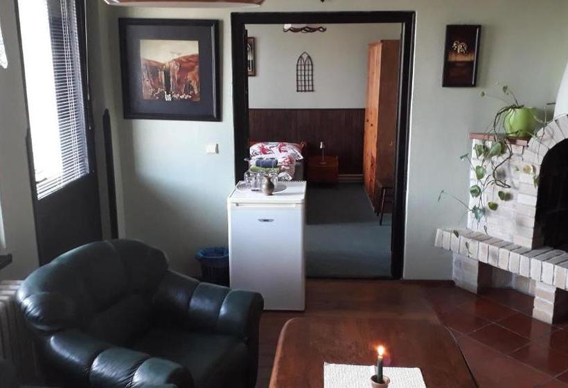 پانسیون Penzion Uno