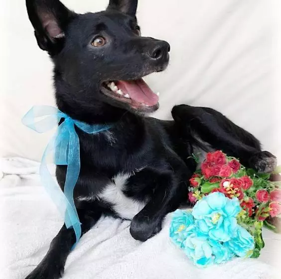 Majatalo @the Villa Guest House