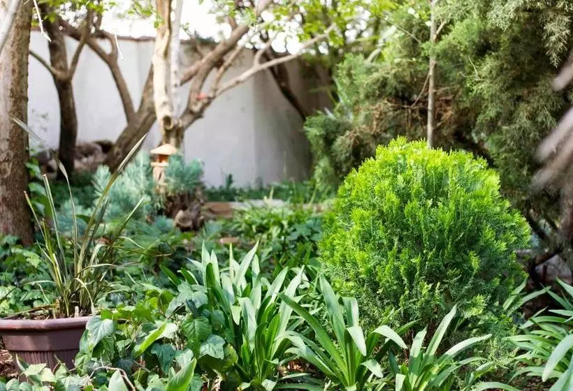 Majatalo @the Villa Guest House