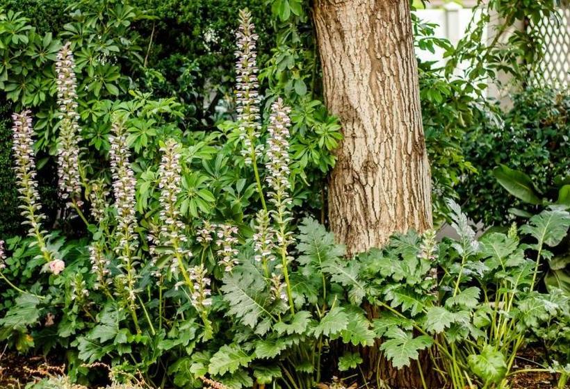 פנסיון @the Villa Guest House