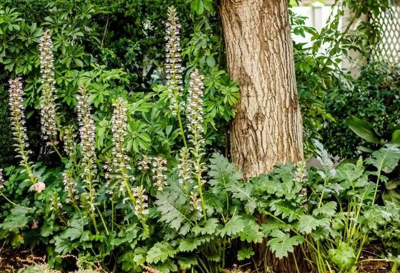 Majatalo @the Villa Guest House