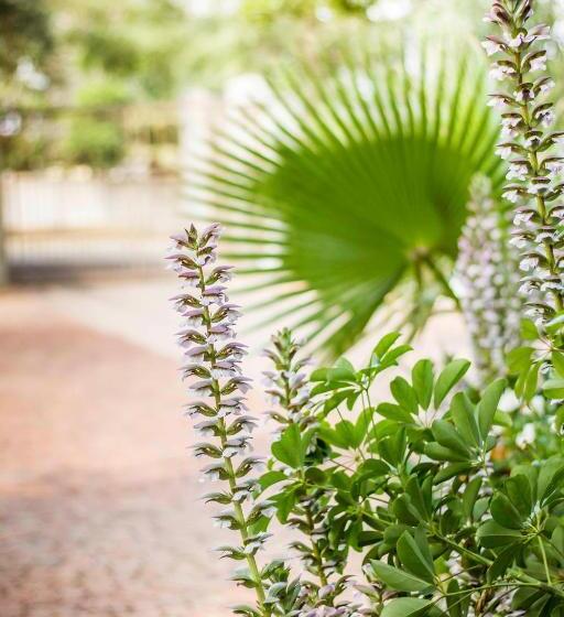 פנסיון @the Villa Guest House