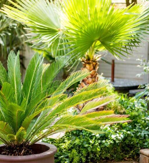 פנסיון @the Villa Guest House