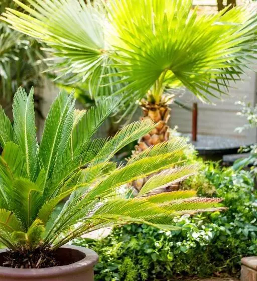 Majatalo @the Villa Guest House