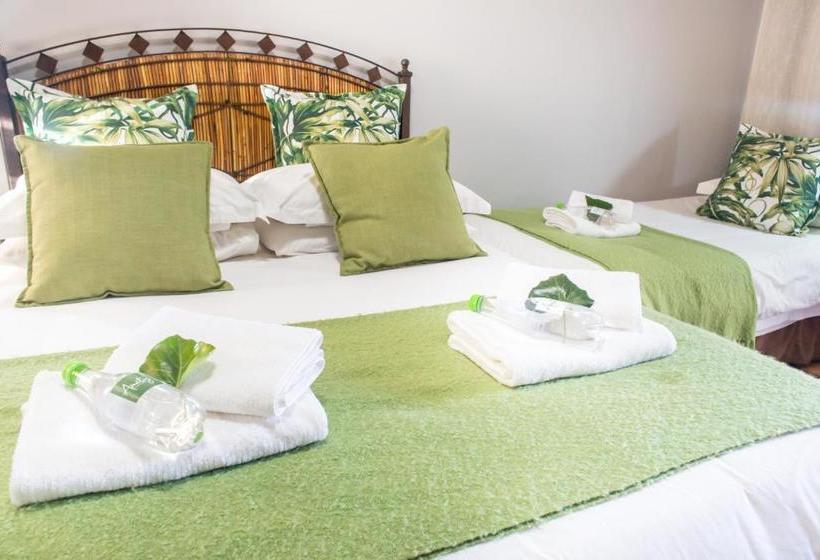 פנסיון Amity Guesthouse