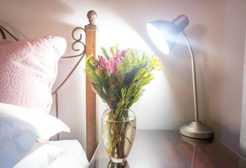 פנסיון Amity Guesthouse