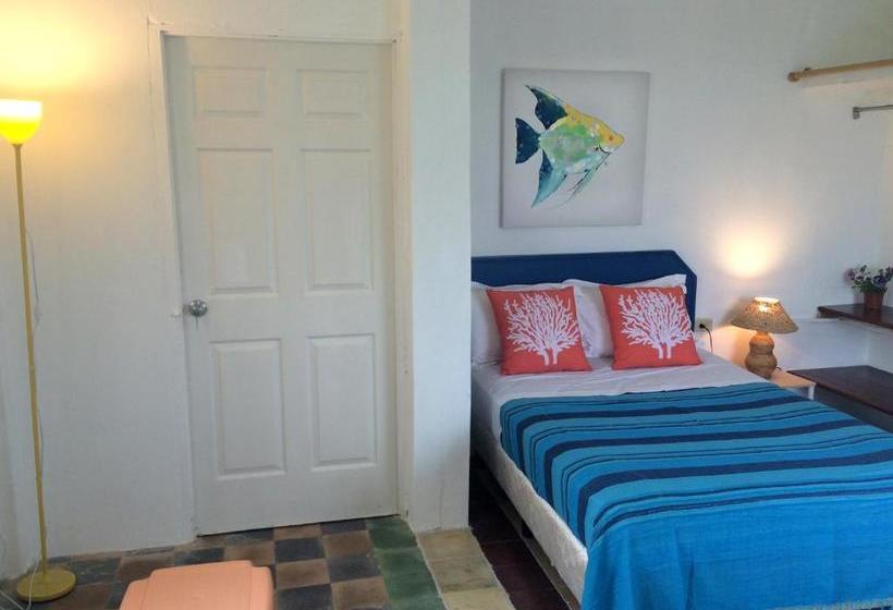 ペンション Casa Del Rayo Verde, Ito Solidario