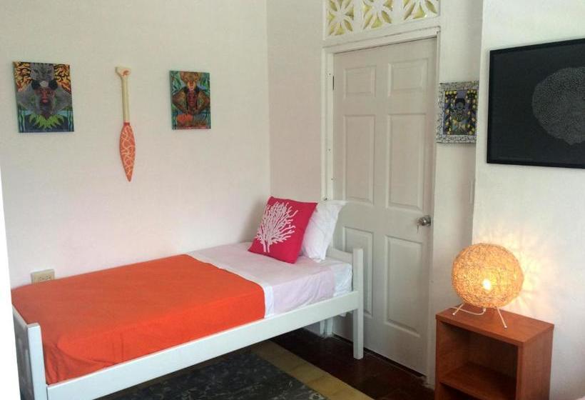 ペンション Casa Del Rayo Verde, Ito Solidario