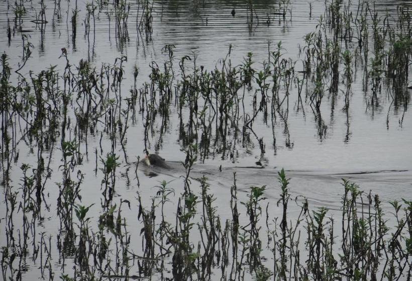 膳宿费 Eco Pousada Sinimbu