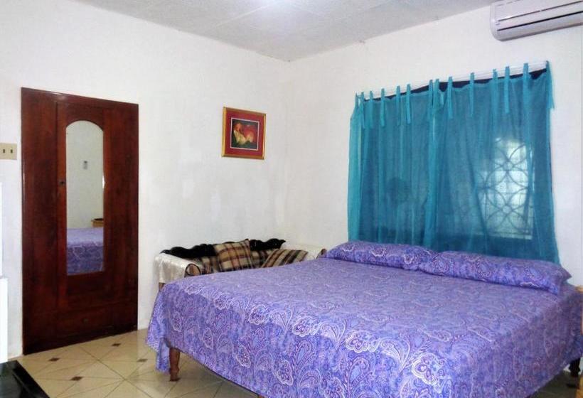 پانسیون Yard Style