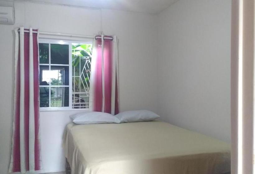 پانسیون Yard Style