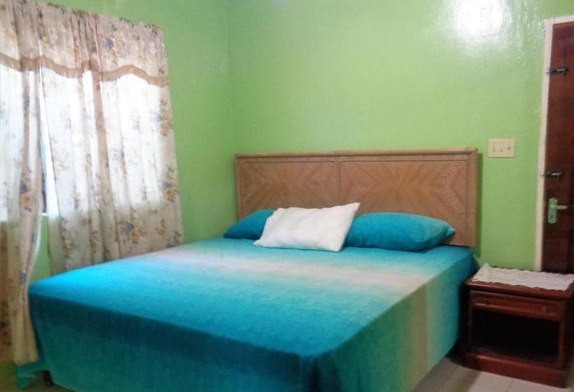 پانسیون Yard Style