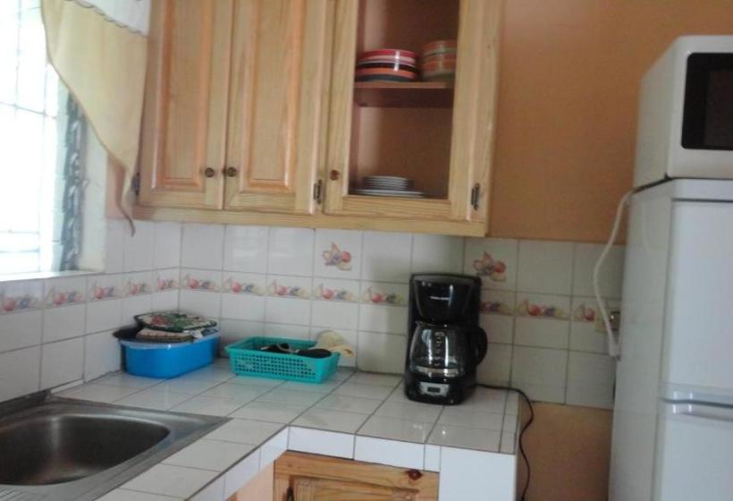 پانسیون Yard Style