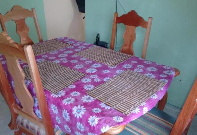 پانسیون Yard Style