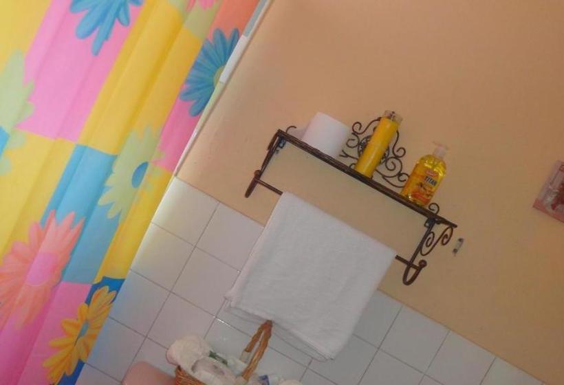 پانسیون Yard Style