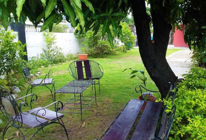 پانسیون Yard Style