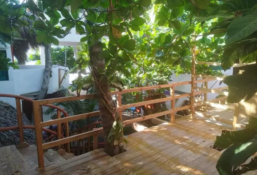 Retkeilymaja Bambú Ecocabañas