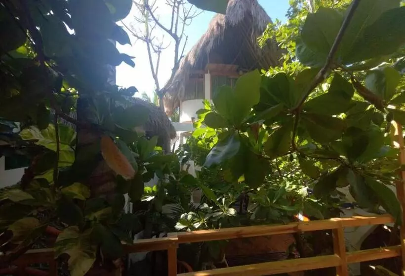 Retkeilymaja Bambú Ecocabañas