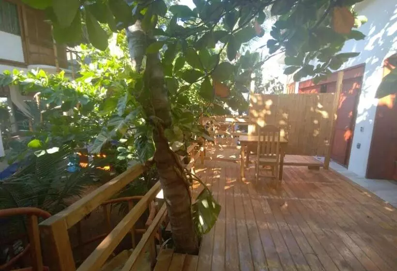 Retkeilymaja Bambú Ecocabañas