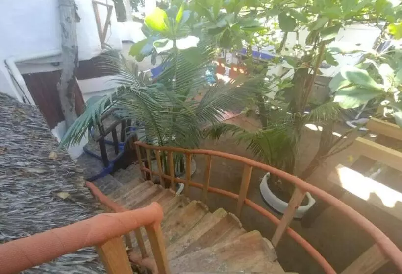 Retkeilymaja Bambú Ecocabañas