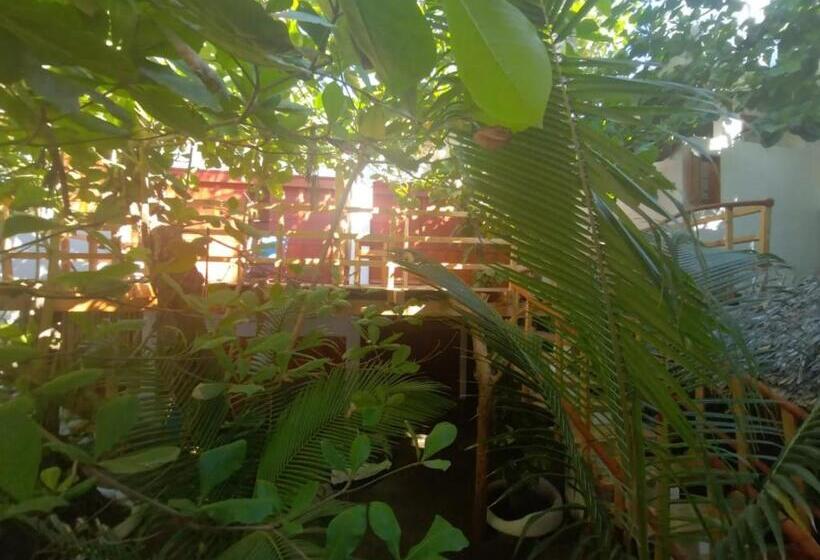 فندق صغير Bambú Ecocabañas