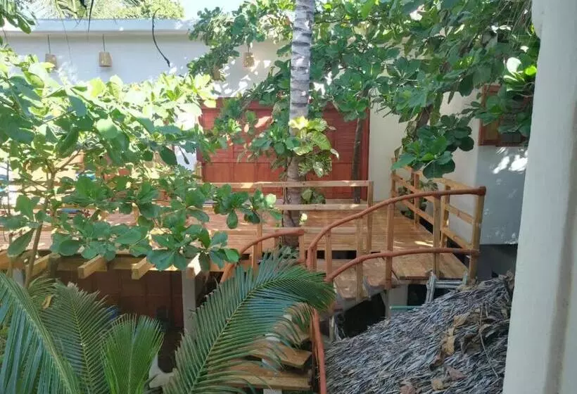 Retkeilymaja Bambú Ecocabañas