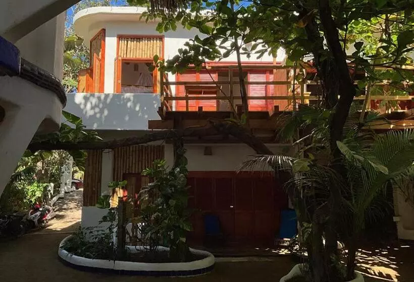 Retkeilymaja Bambú Ecocabañas
