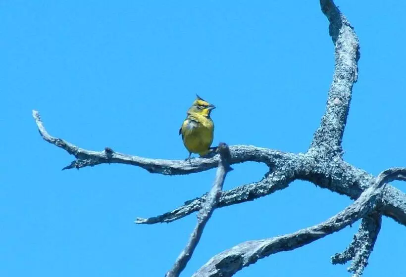 هاستل Posada Uguay   Esteros Del Iberá