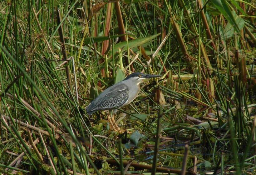 הוסטל Posada Uguay   Esteros Del Iberá