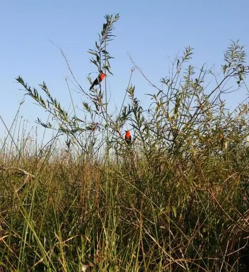 هاستل Posada Uguay   Esteros Del Iberá
