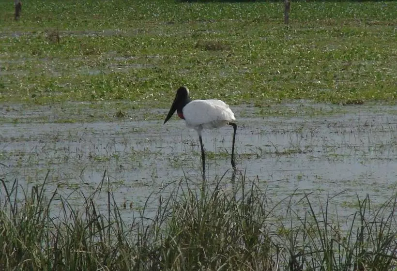 هاستل Posada Uguay   Esteros Del Iberá