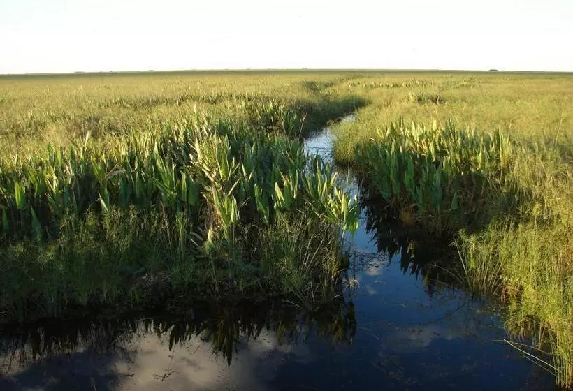 هاستل Posada Uguay   Esteros Del Iberá