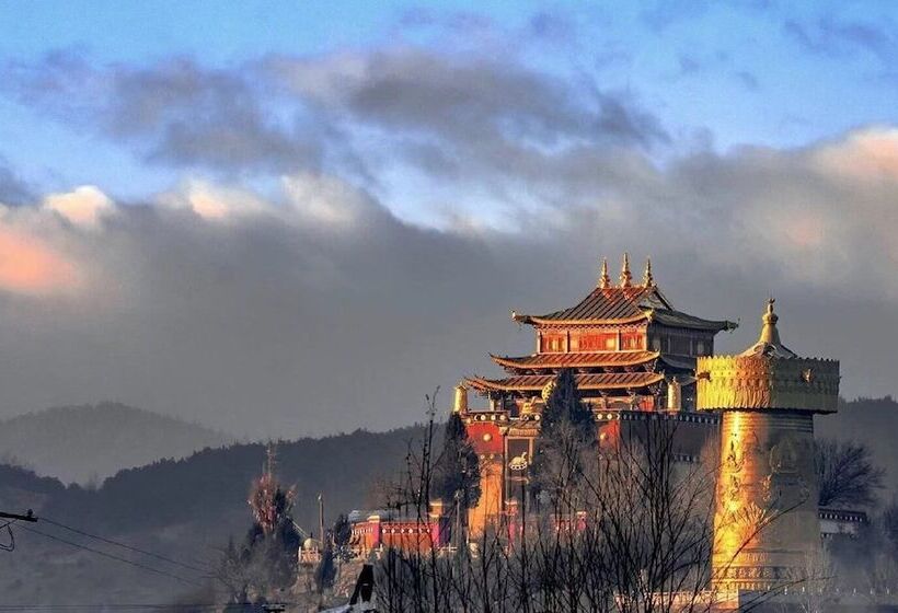 بنسيون Bodhi Boutique Inn