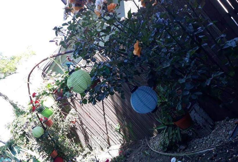 פנסיון Casa Silvia